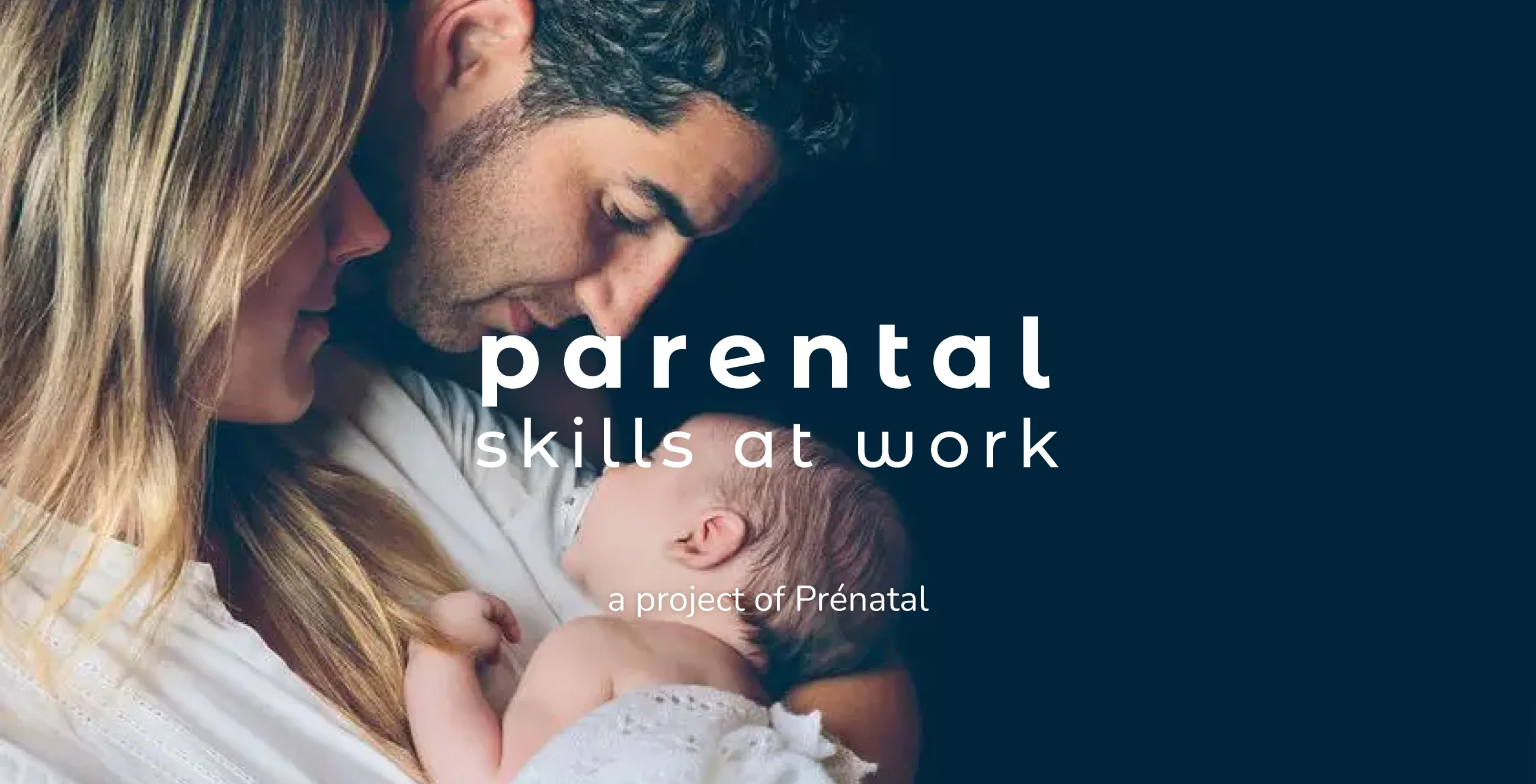 Visual hero Parental Skills at Work
